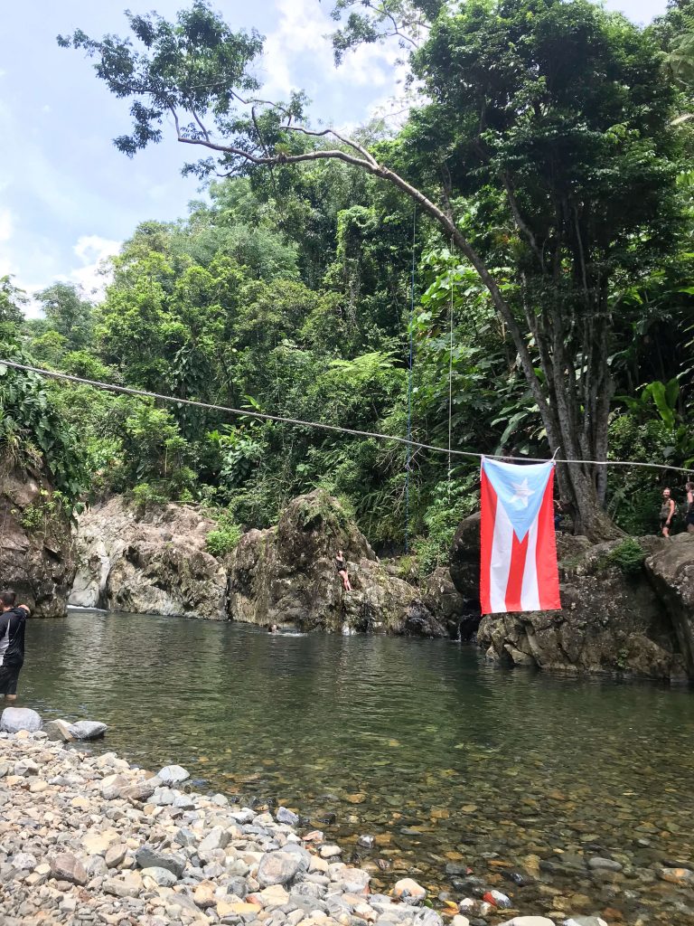 El Junque Rainforest