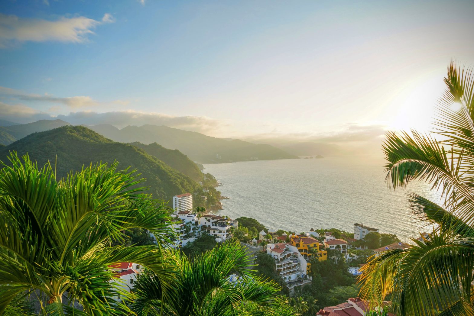 Palm trees and ledge overlooking water