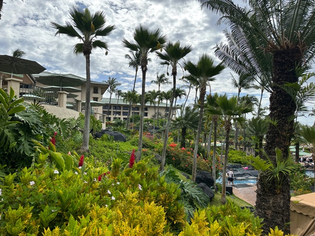 Hotel surrounded by palm trees
