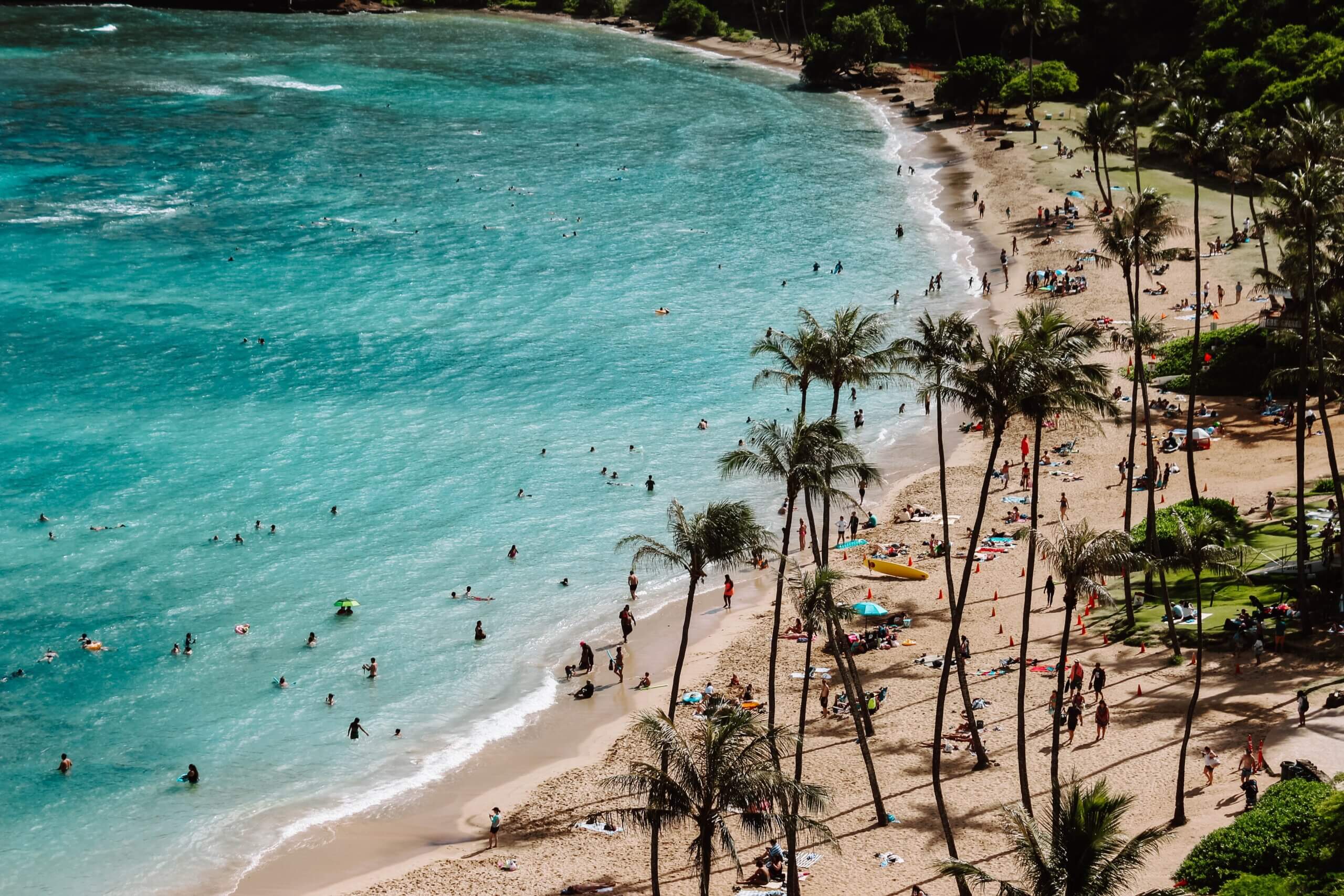 Turquoise water with tan sand and palm trees