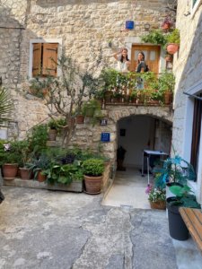 Rock house with plants