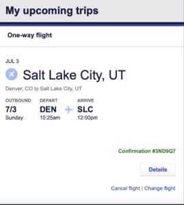 Screenshot Southwest Flight