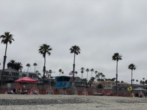 Colorful houses on beach with palm trees
