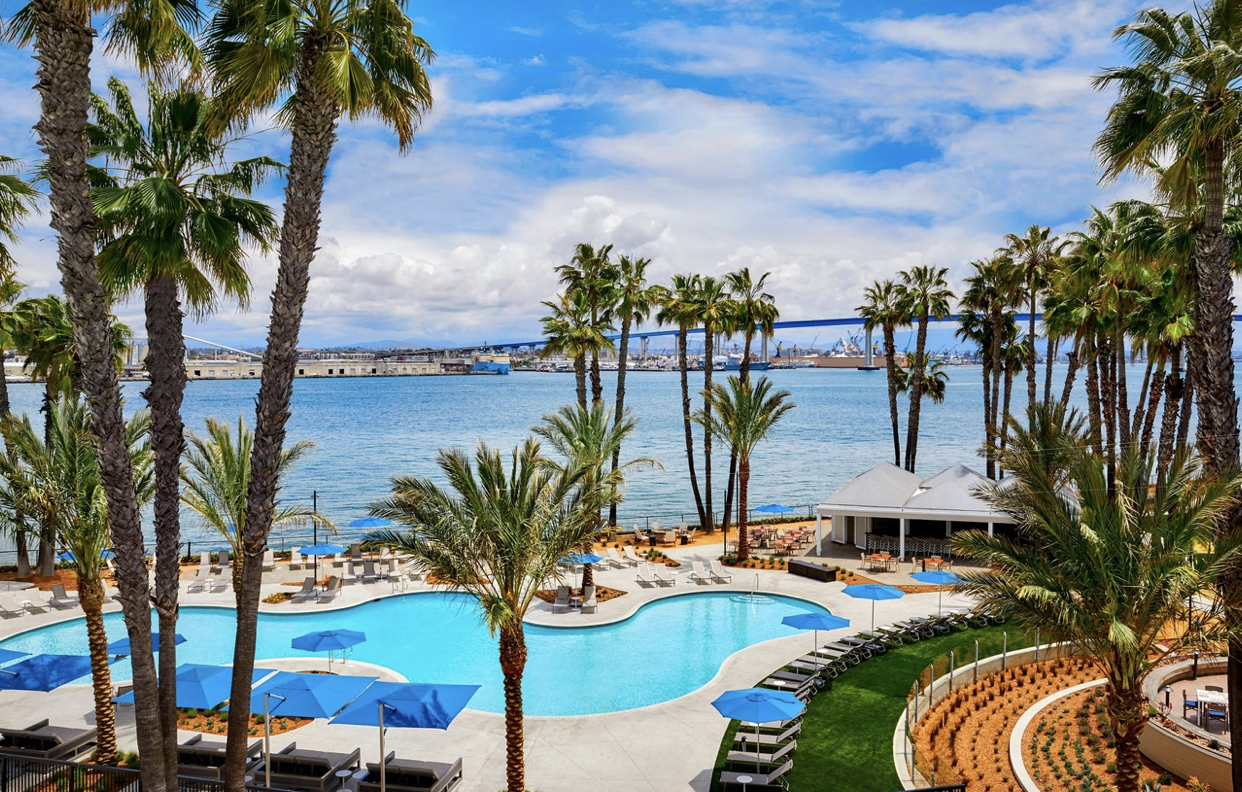 Swimming pool surrounded by palm trees