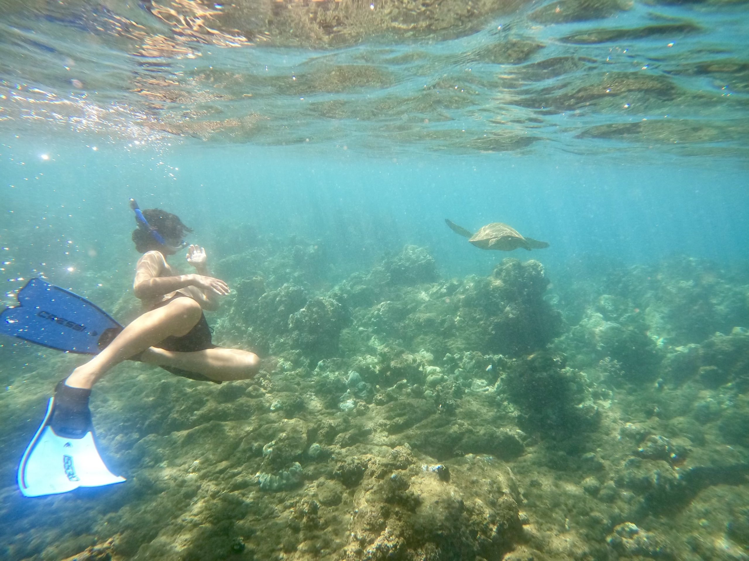 boy under ocean with turtle