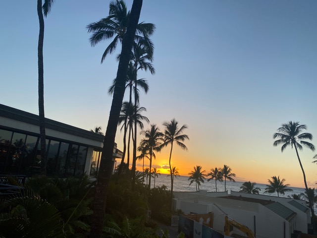 hotel and palm trees at sunset