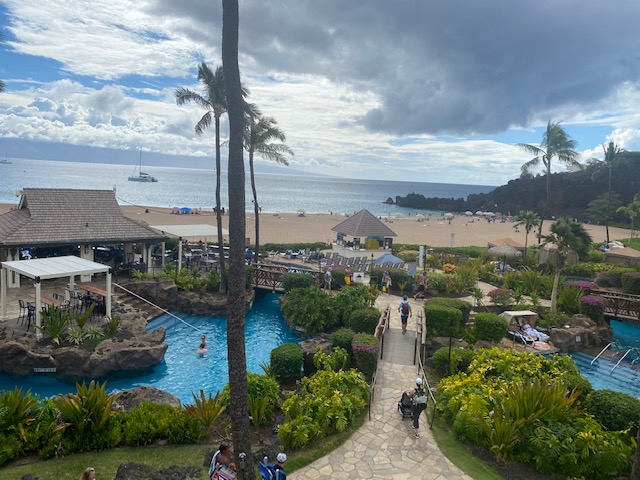 Resort pool area with palm trees and sandy beaches