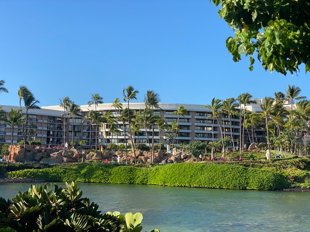 large white hotel with palm trees and blue water