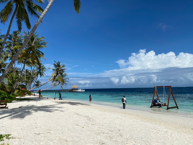 White sand, turquoise water and a swing