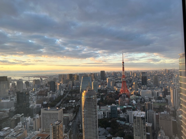 View of large city with tower