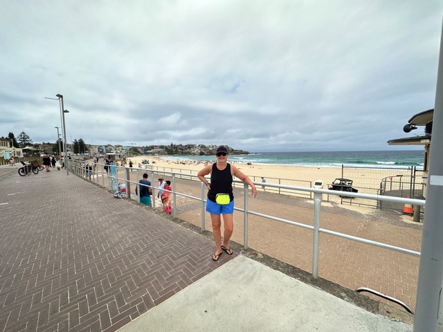 woman standing near gate in front of beach