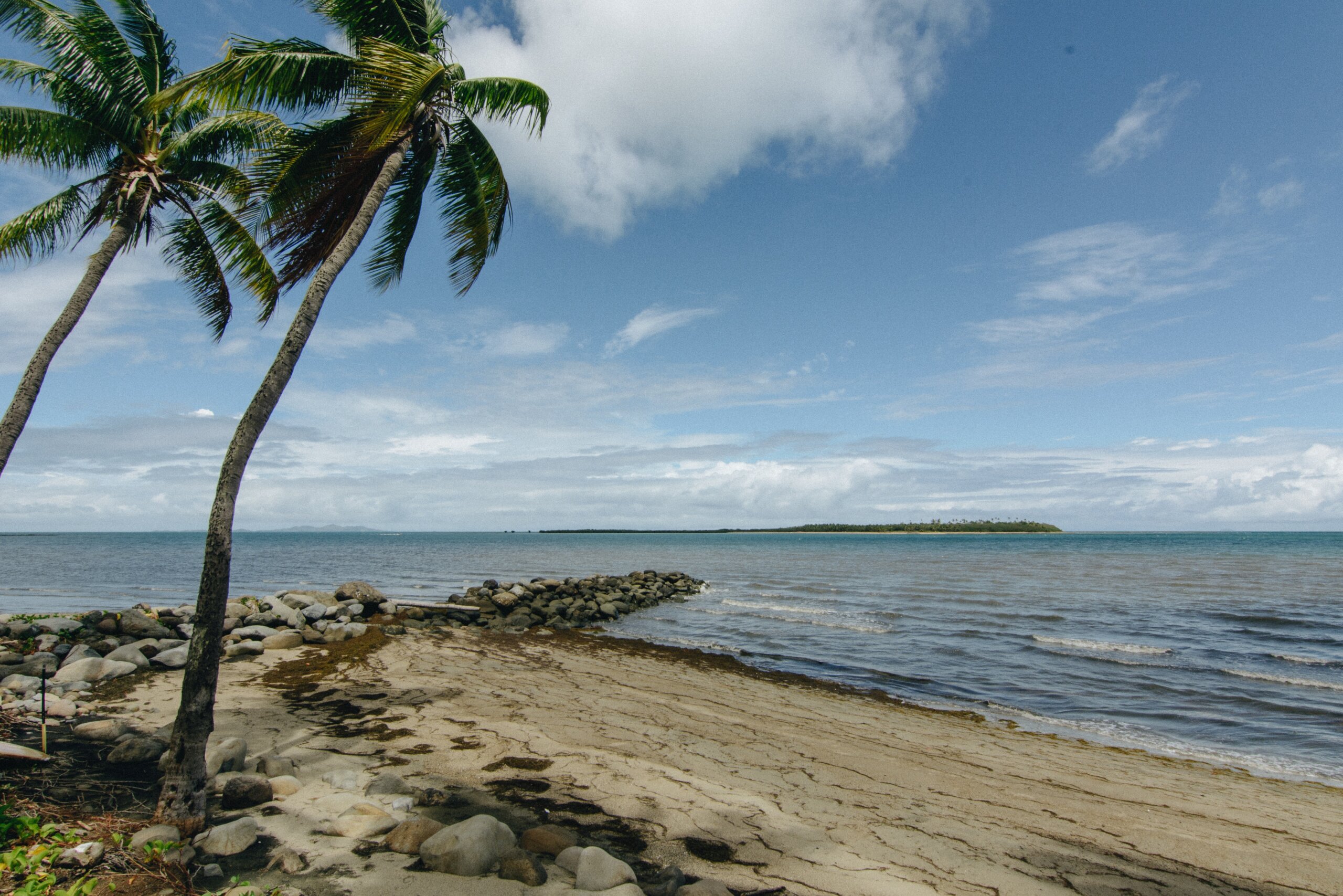 Beach with blue water and palm trees.