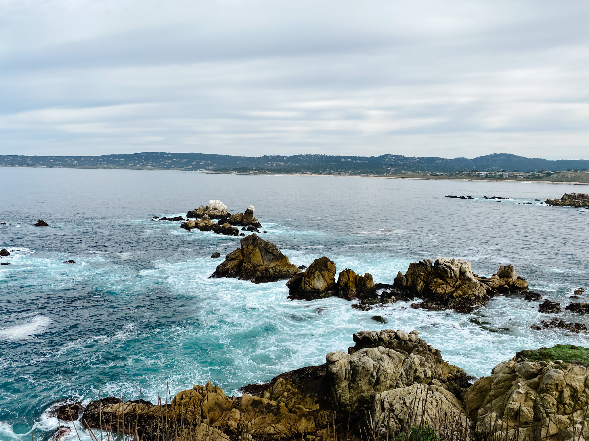 point lobos monterey