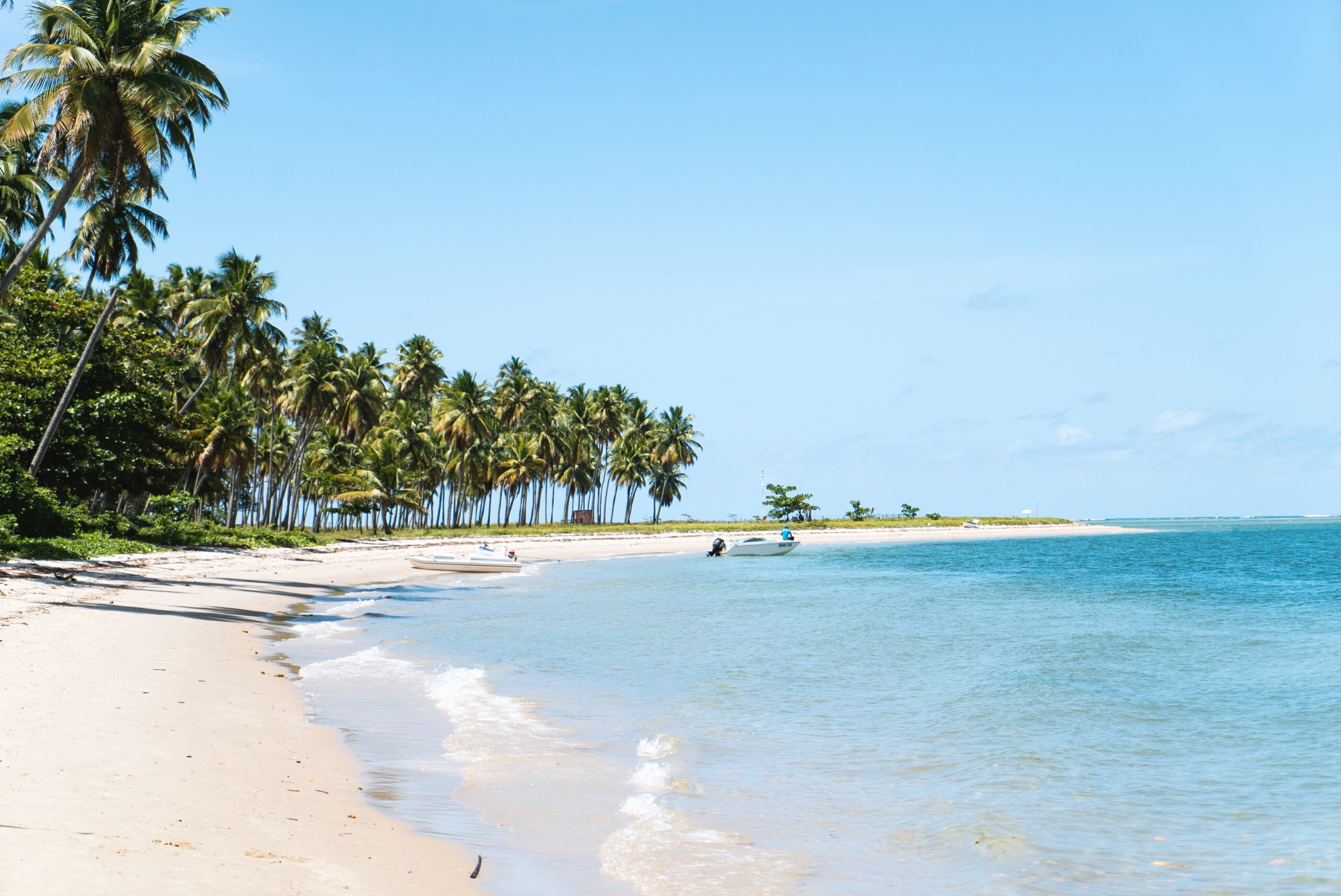 White beach, palm trees and blue water