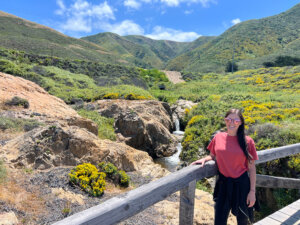 Garrapata State park bridge