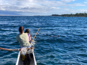 Andaz Maui Outrigger Turtle watch 