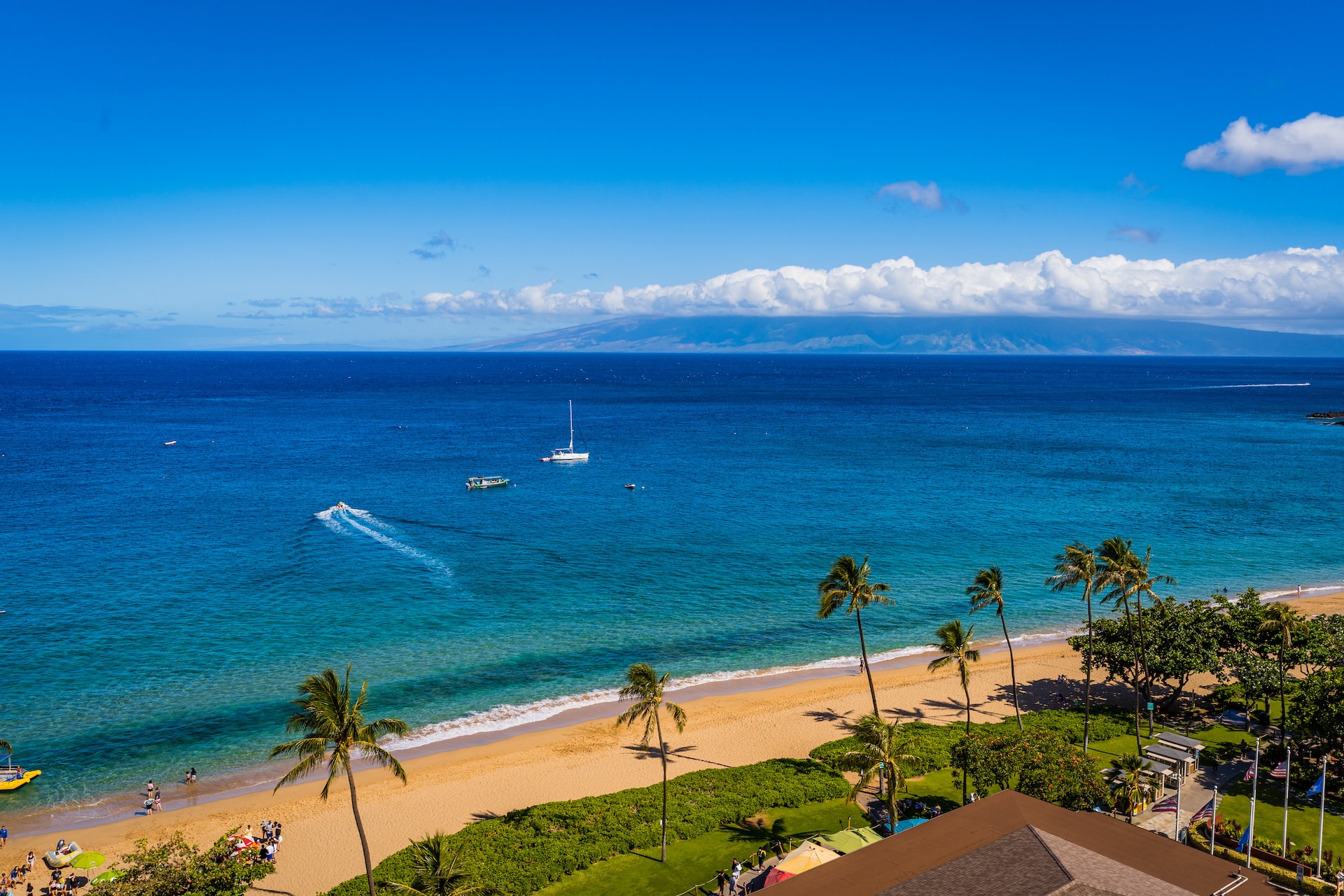 Beach, palm trees, blue water
