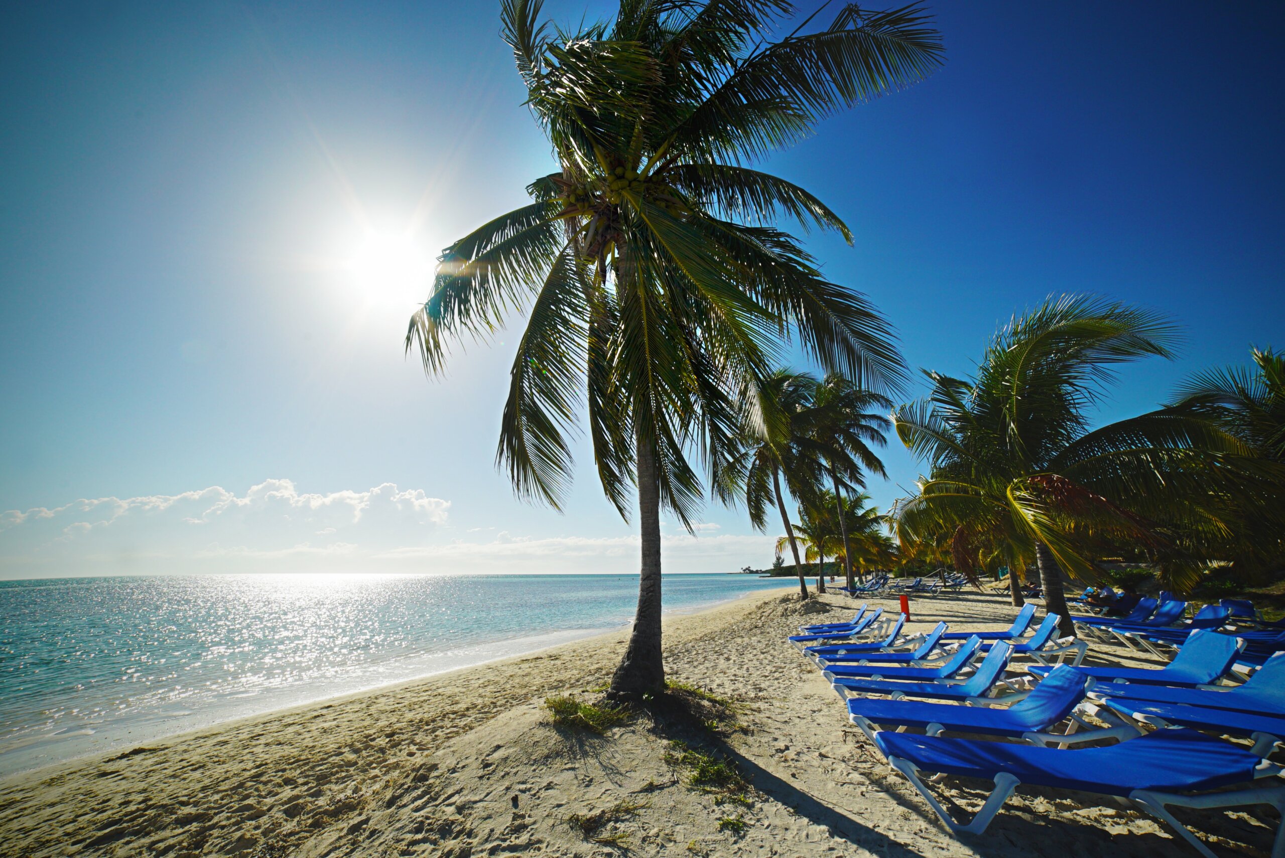 Beach with blue lounge chairs