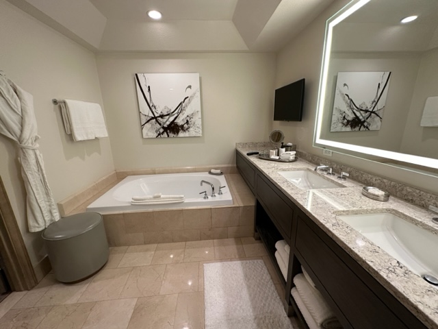 Hotel Bathroom