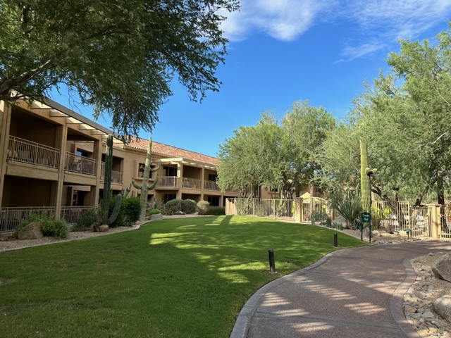 Brown hotel near desert