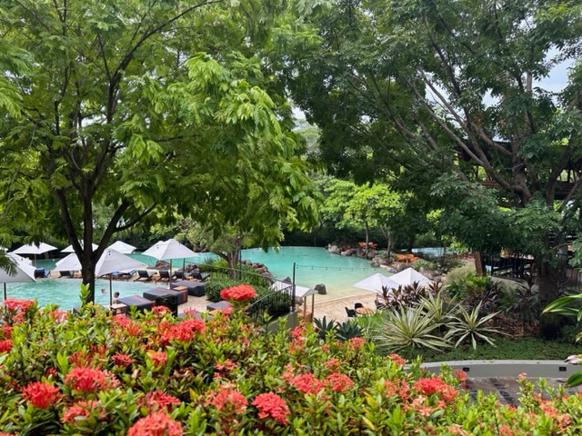 Pool area with green vegetation and orange flowers.