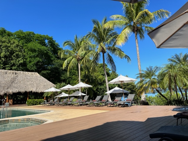 Pool with palm trees