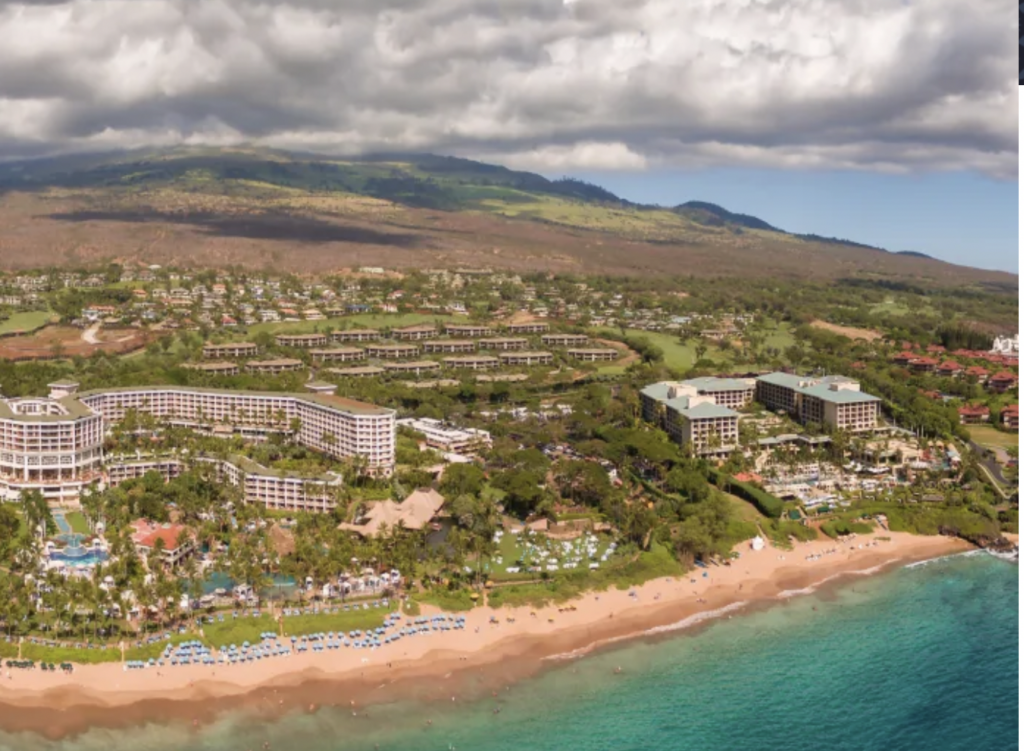 Aerial view of hotels on an island.