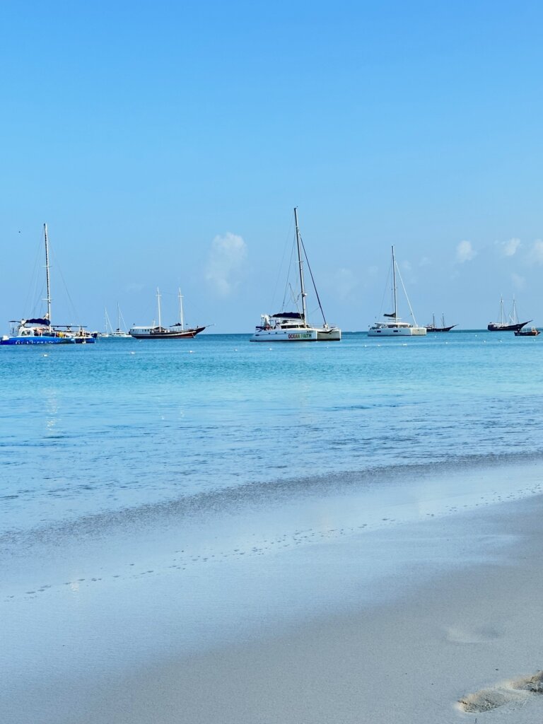 Blue water with white sailboats