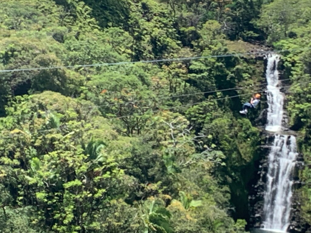 Person ziplining through green vegetation.