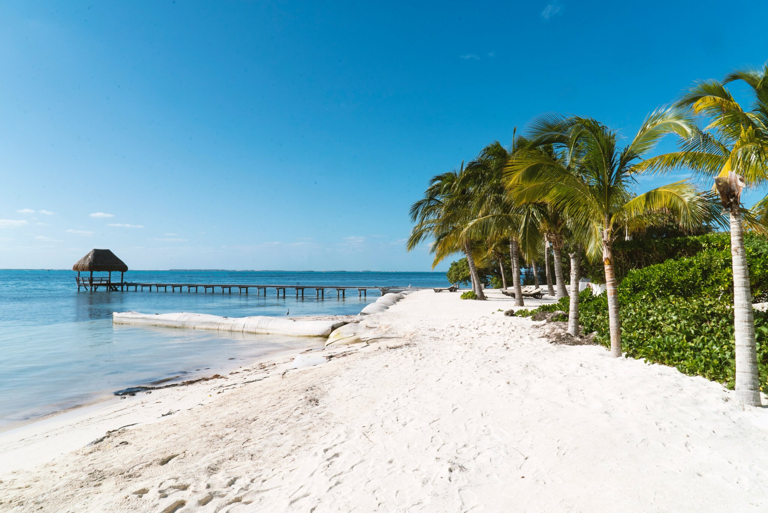 White sand, palm trees and blue water