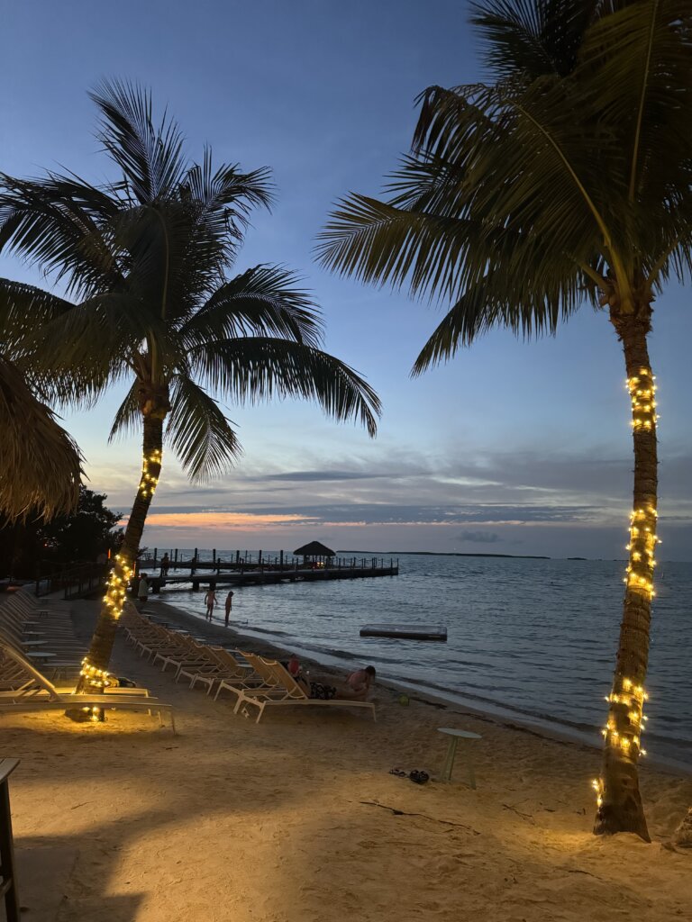 Palm Trees framing water