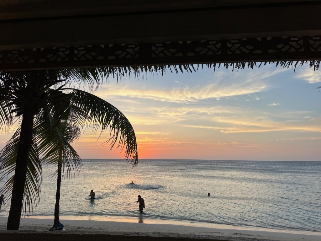 Sunset water view with palm trees.