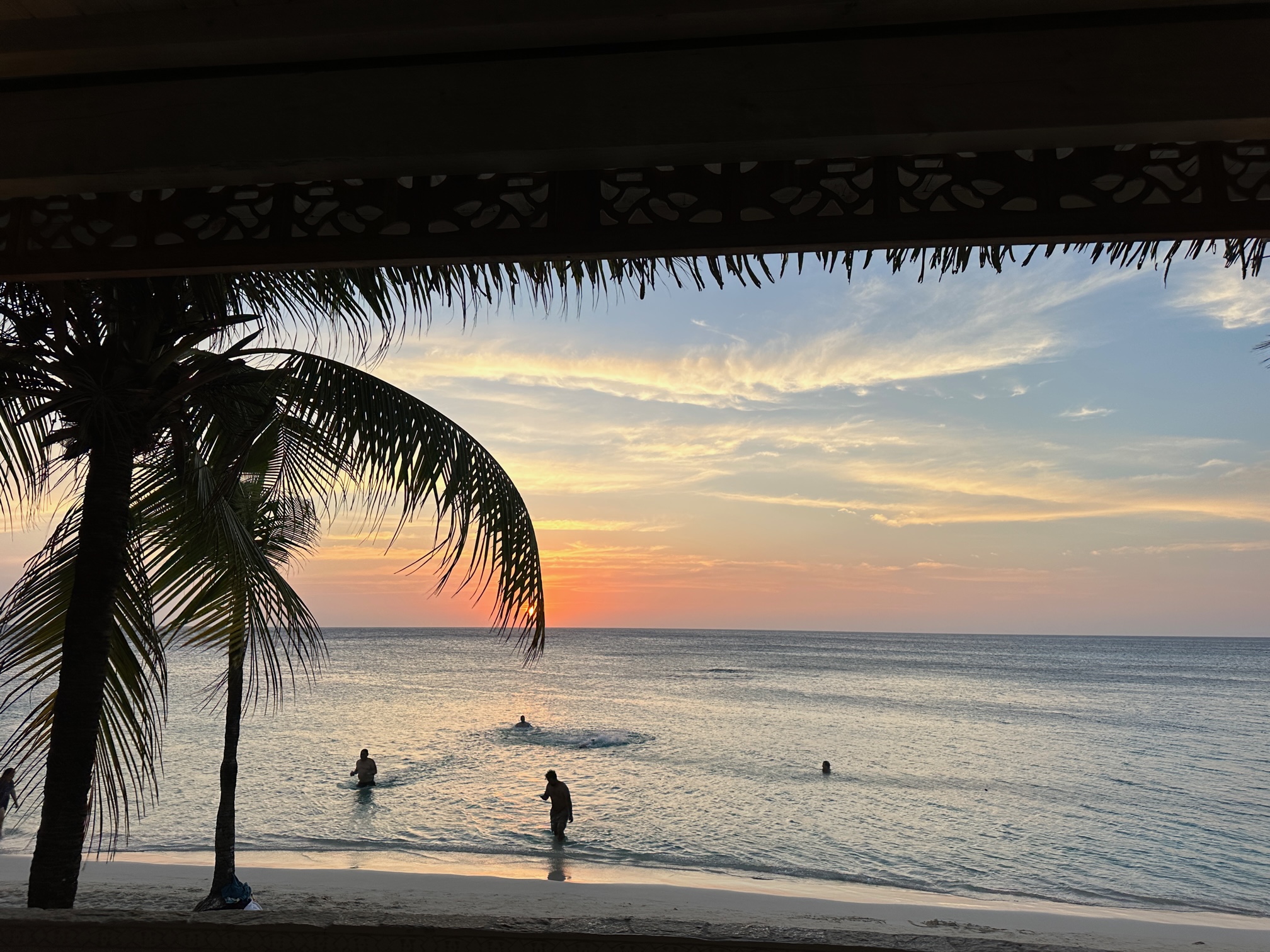 Sunset water view with palm trees.