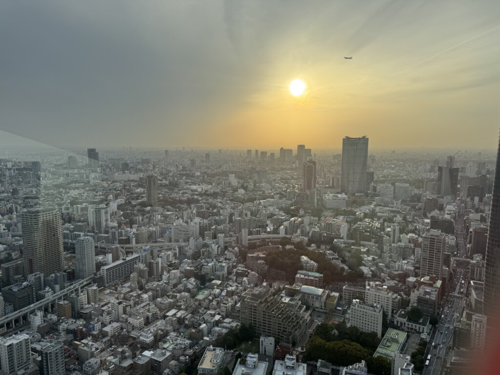 View from Tokyo Tower
