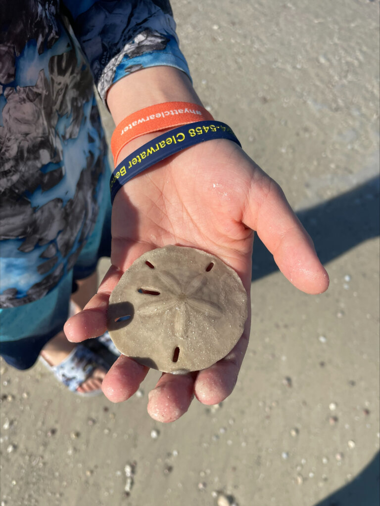 Child holding a sand dollar.