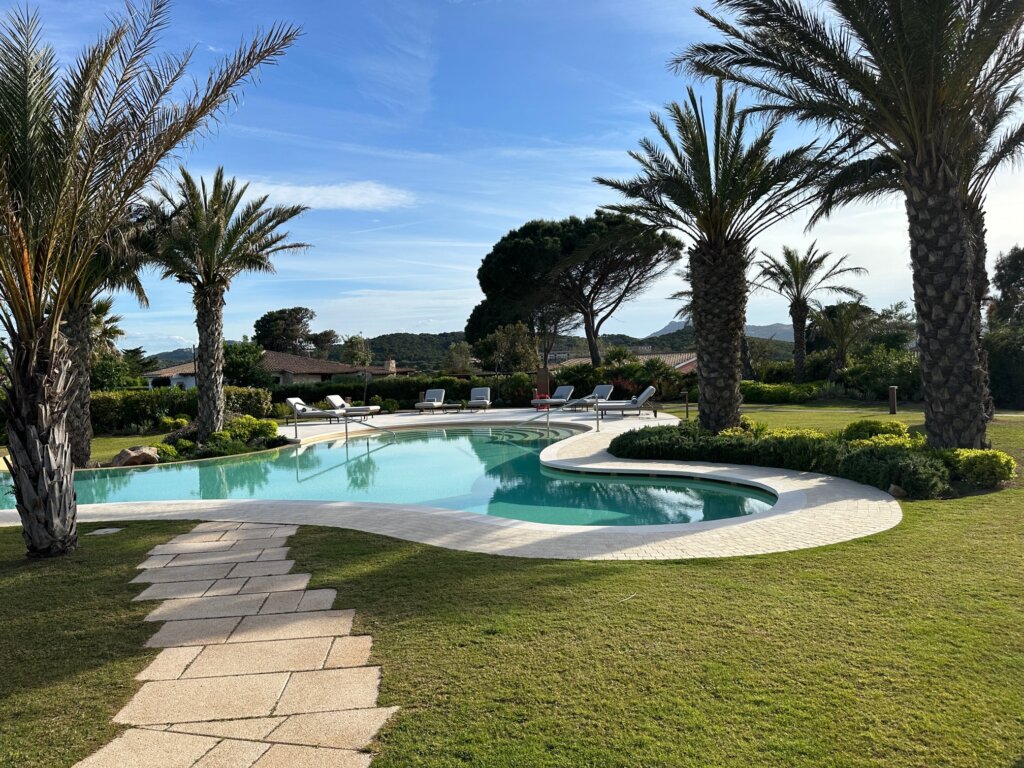 Pool with palm trees nearby