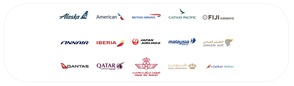 All the airlines within the Oneworld alliance