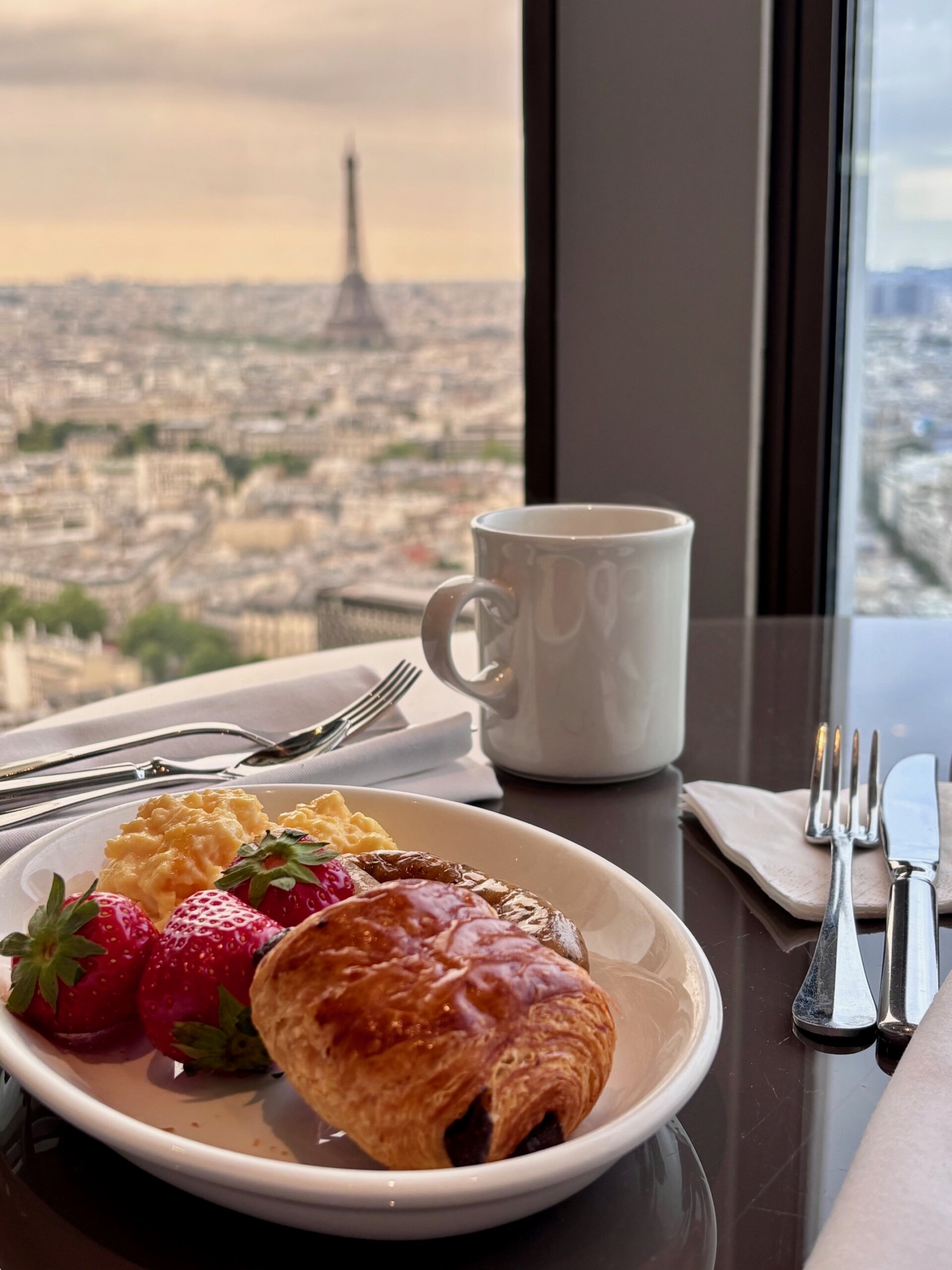 Hyatt Regency Paris view from club lounge.
