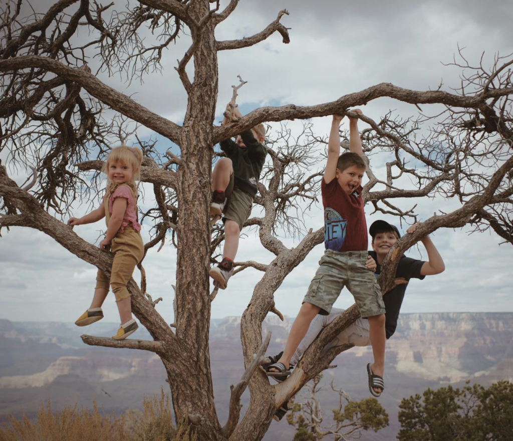 Four young children climbing a tree near the Grand Canyon